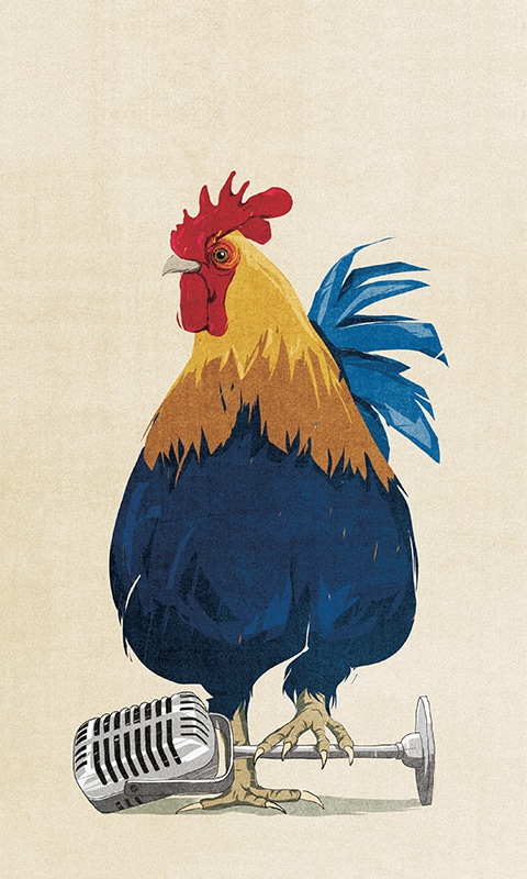 Animal Illustrators | Anna Goodson Illustration Agency