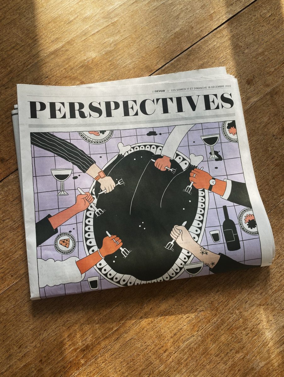 Le Devoir / cover of the december 17th Perspectives section - Audrey Malo - Anna Goodson Agence d'illustration