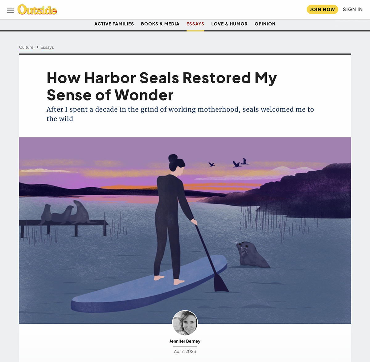 Outside Magazine / How Harbor Seals Restored My Sense of Wonder - Daniella Ferretti - Anna Goodson Illustration Agency