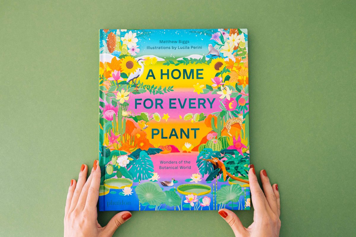 Phaidon / A Home For Every Plant - Lucila Perini - Anna Goodson Illustration Agency