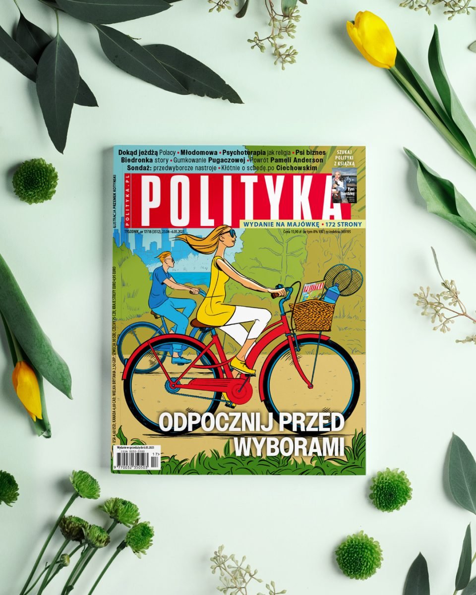Polityka / Cover illustrations - Kotynski - Anna Goodson Illustration Agency