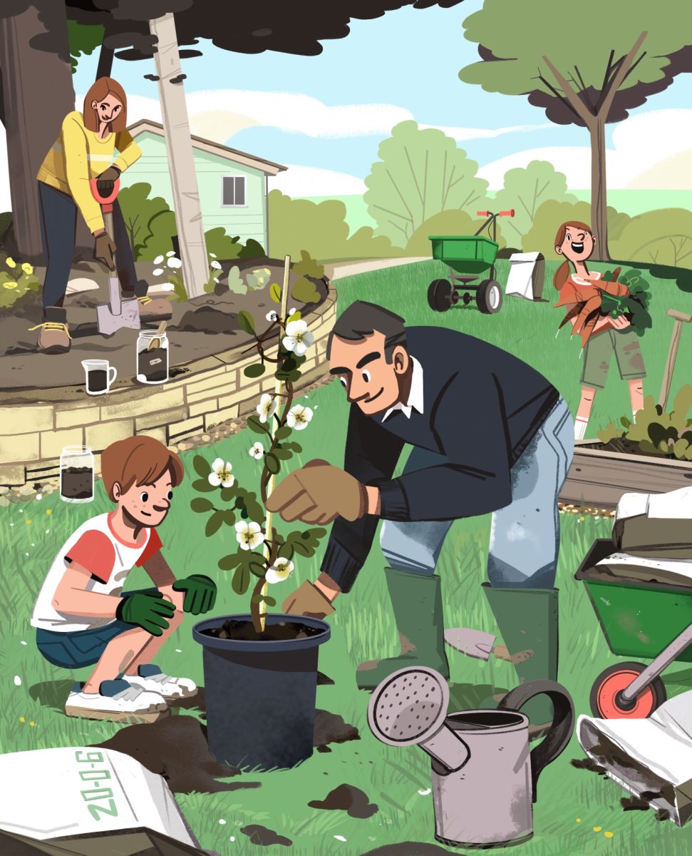 THFL / Spring Fertiliser Guide - Nathan Hackett - Anna Goodson Illustration Agency