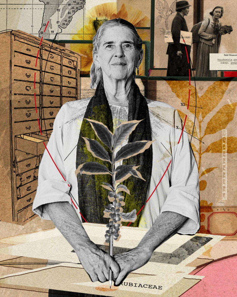 Katy Lemay — Illustration for The Persistent