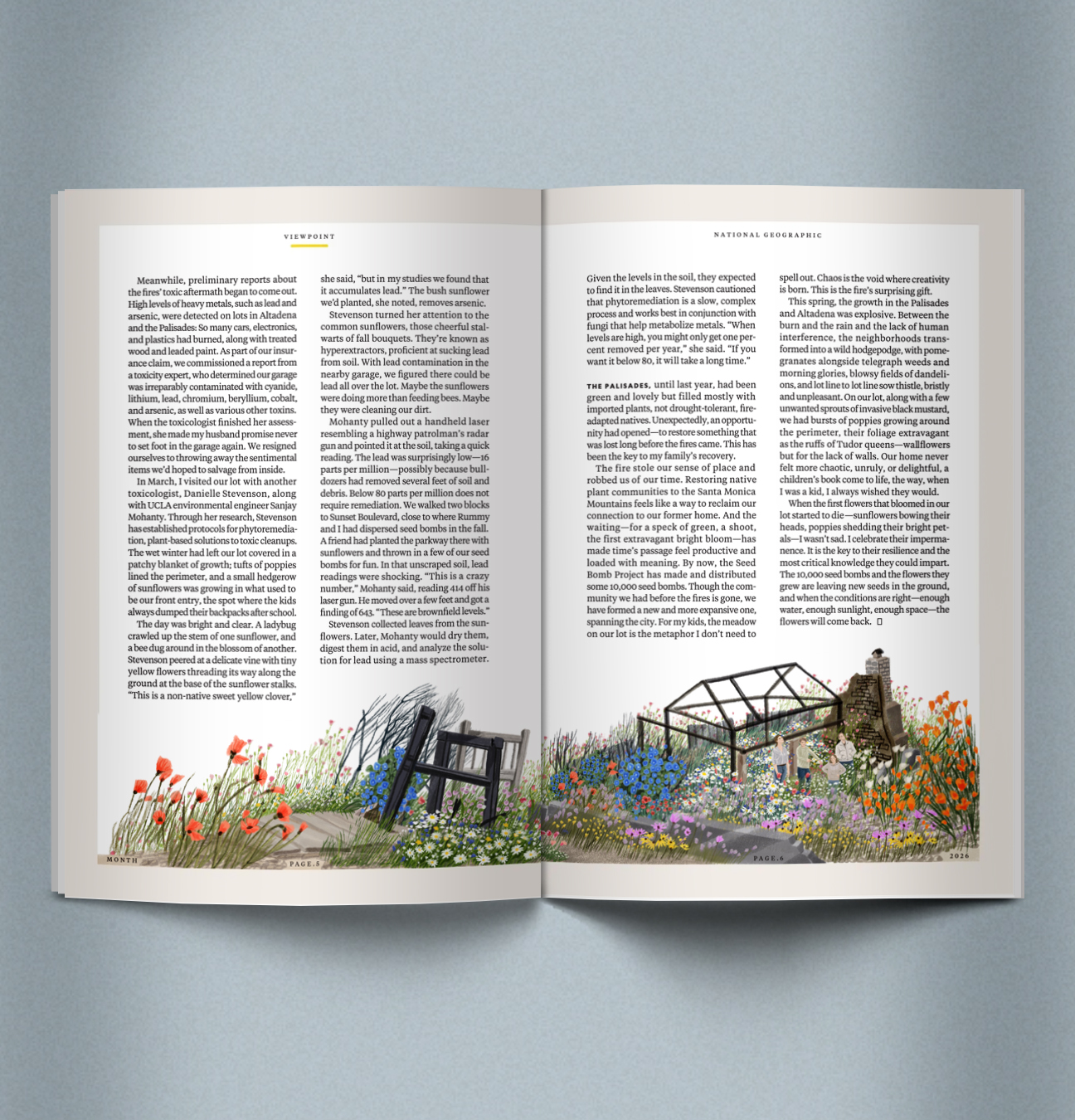 JiYeun Kang / National Geographic / Les fleurs sauvages peuvent-elles réparer les dégâts toxiques laissés par les incendies de Los Angeles ?